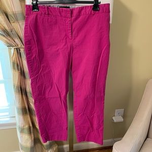 Pink/Magenta Ankle Pants - sz 16